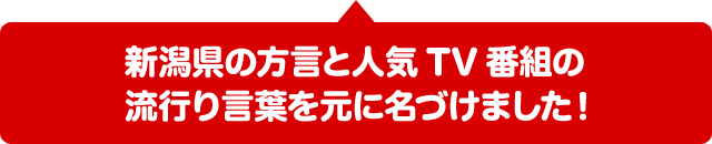 新潟県の方言と人気TV番組の流行り言葉を元に名づけました！