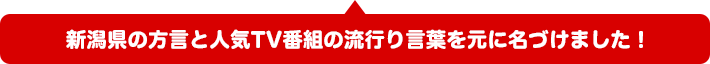 新潟県の方言と人気TV番組の流行り言葉を元に名づけました！