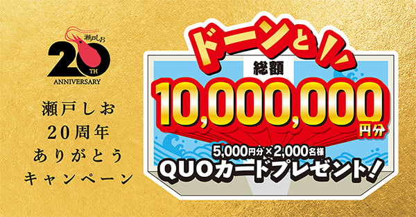 瀬戸しお　20th ANNIVERSARY